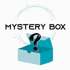 10 pieces  Womens Mystery Clothing Box